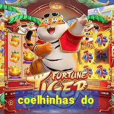 coelhinhas do brasil jp